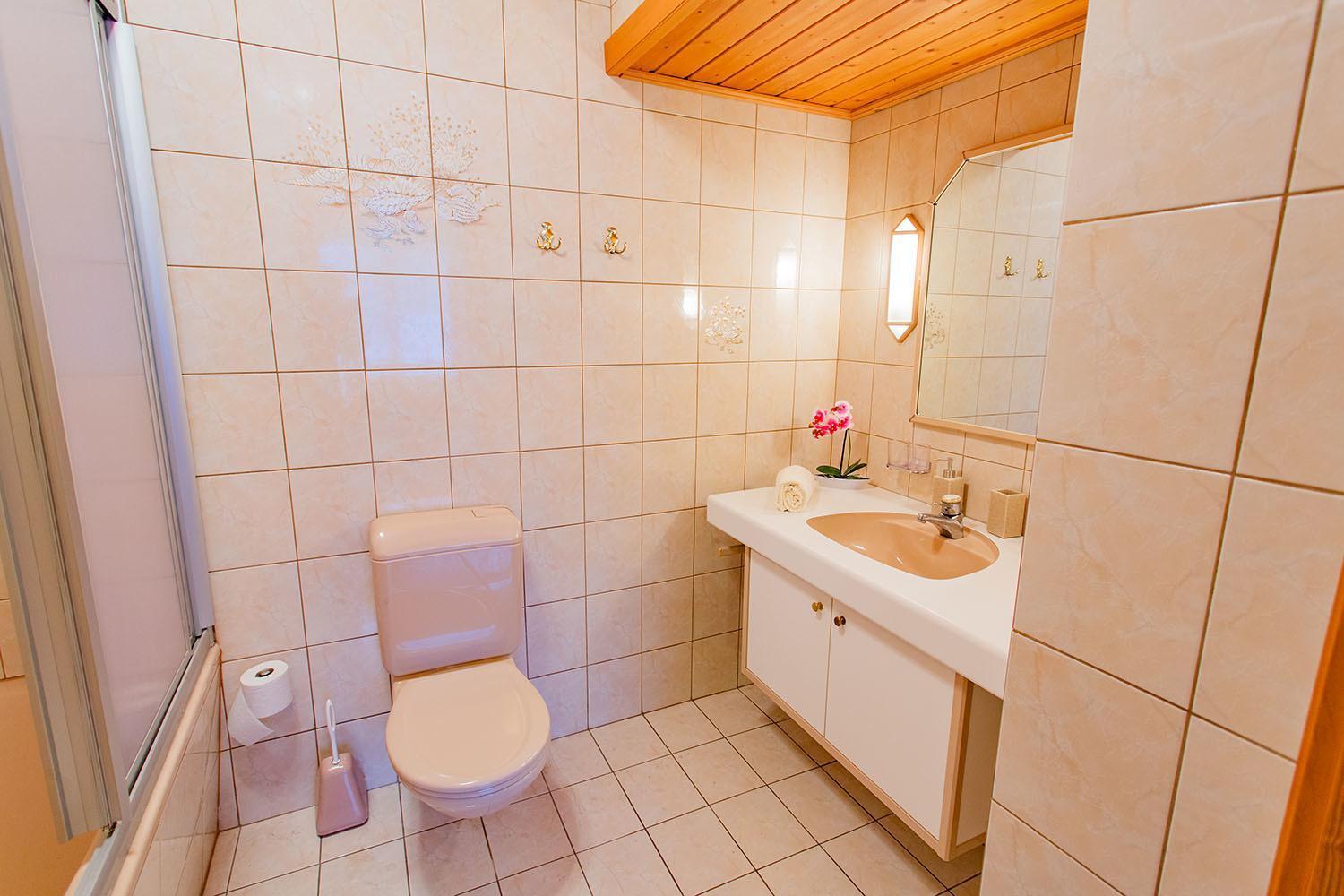 Bergidyll 3 By Alpenidyll Apartments Ramsau am Dachstein Dış mekan fotoğraf